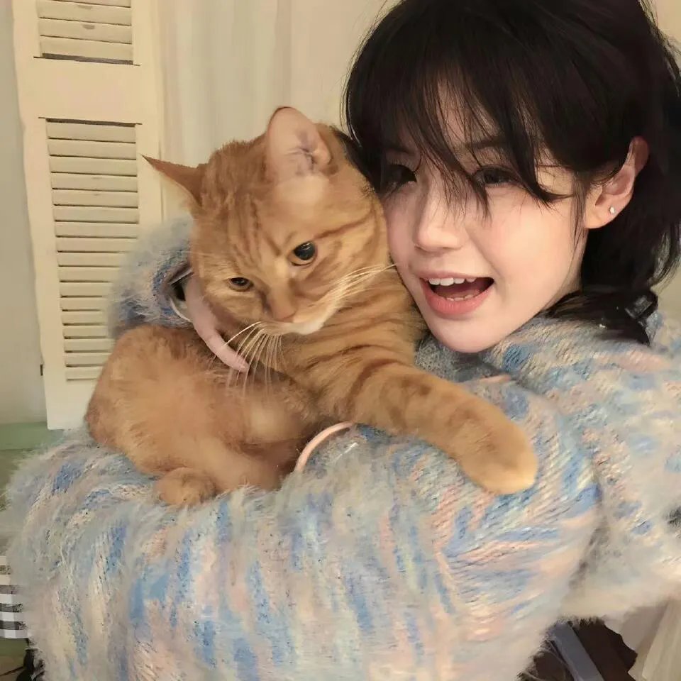 七彩如来神掌粤语